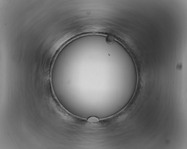 X0000111251073200907091418