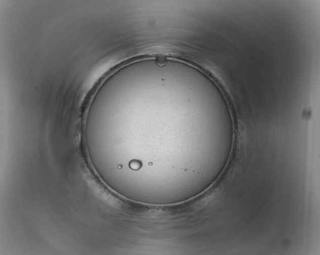 X0000111251075200907091418