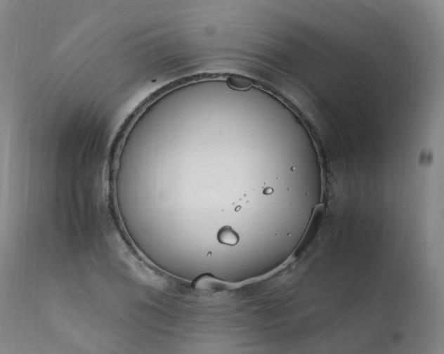 X0000111251076200907091418