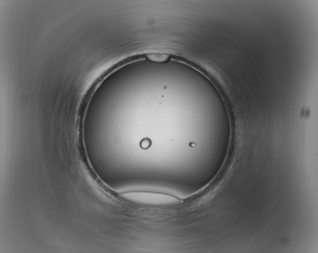 X0000111251077200907091418