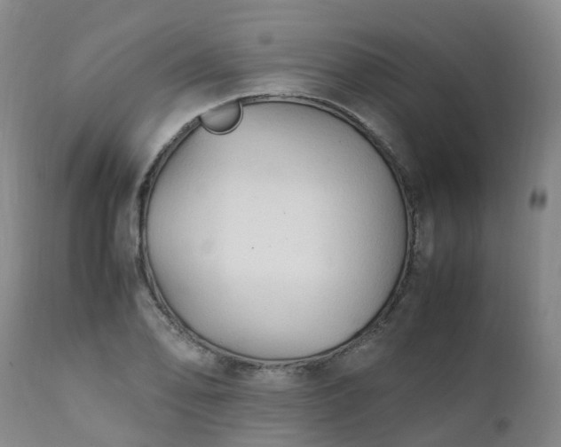 X0000111251078200907091418