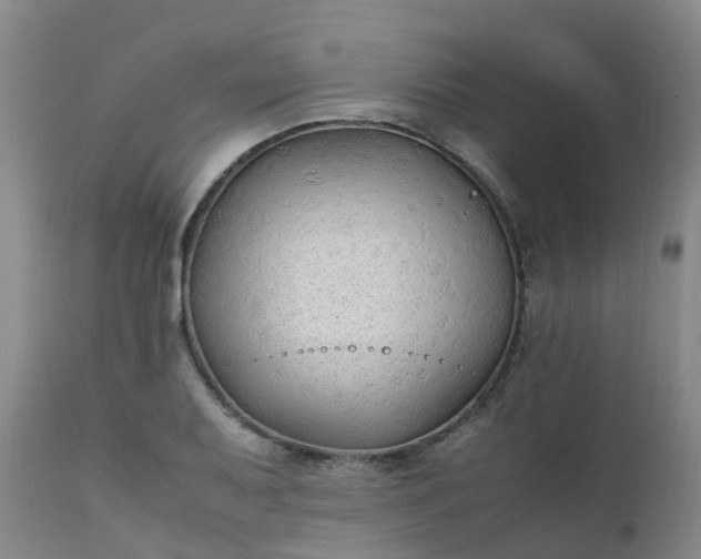 X0000111251079200907091418