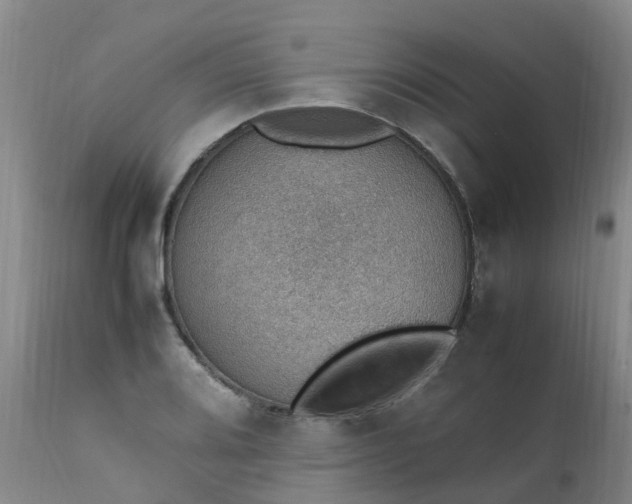 X0000111251080200907091418