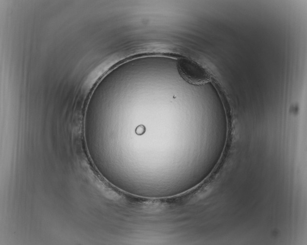 X0000111251081200907091418