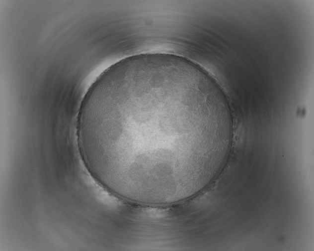 X0000111251086200907091417