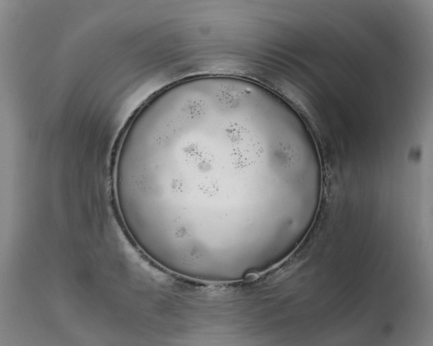 X0000111251087200907091417