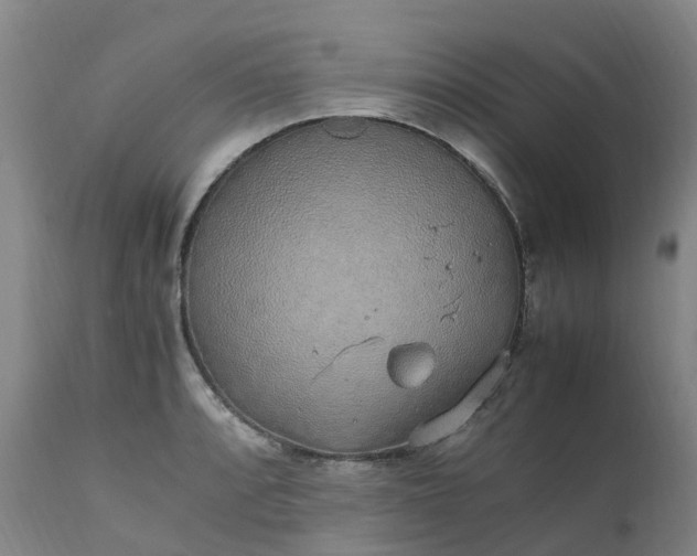 X0000111251088200907091417