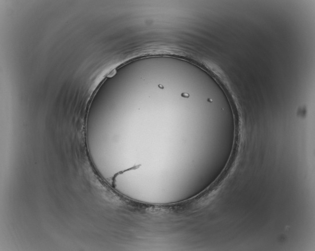 X0000111251089200907091417