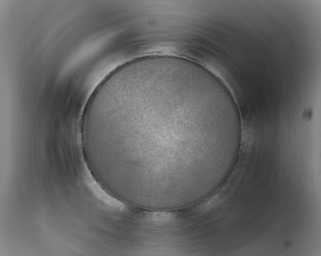 X0000111251090200907091417