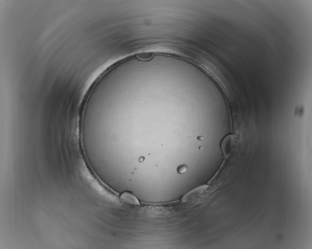 X0000111251092200907091417