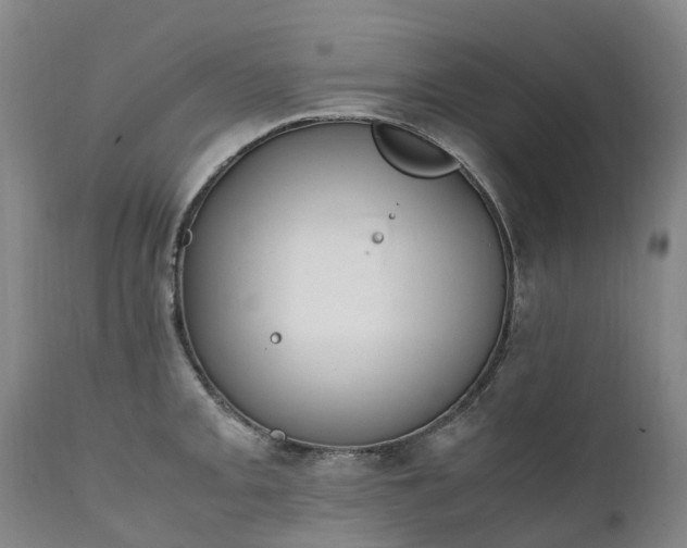 X0000111251093200907091417