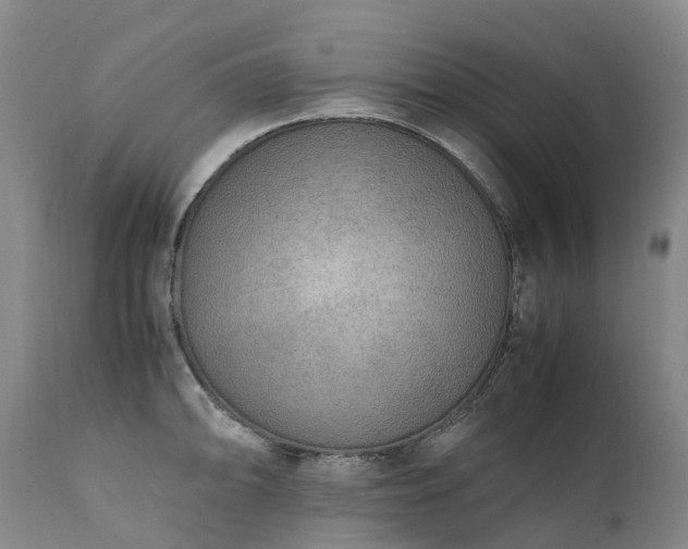 X0000111251094200907091417