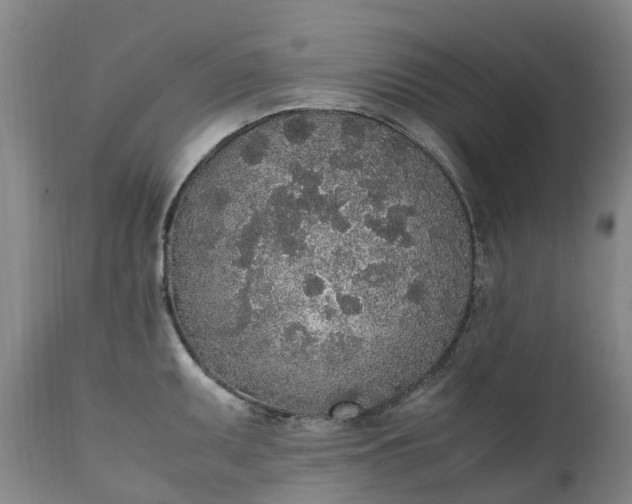 X0000111251095200907091417