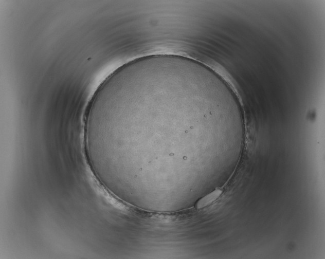 X0000111251096200907091417