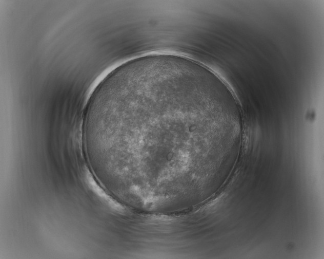 X0000111251100200907091417