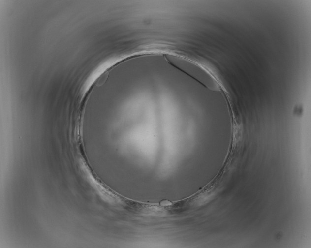 X0000111251101200907091417