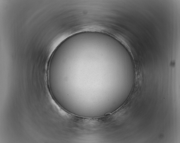 X0000111251103200907091417