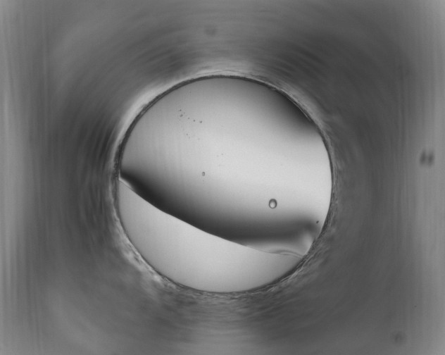 X0000111251104200907091417