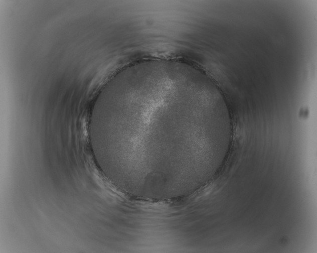 X0000111251106200907091417