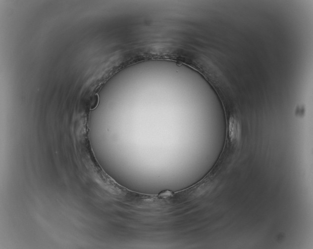 X0000111251107200907091417