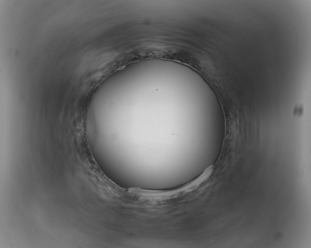 X0000111251109200907091417