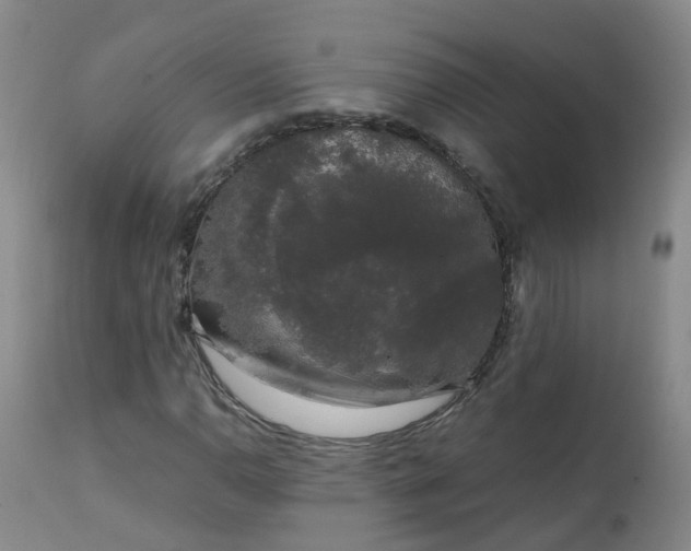 X0000111251110200907091417