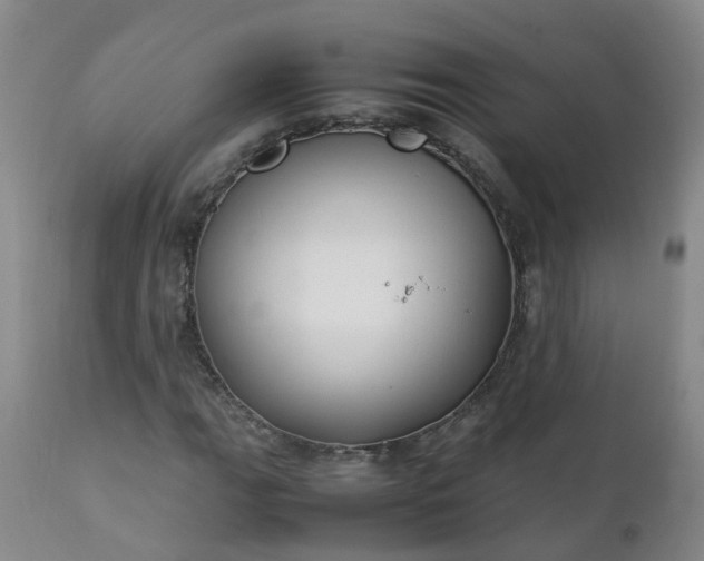 X0000111251111200907091417