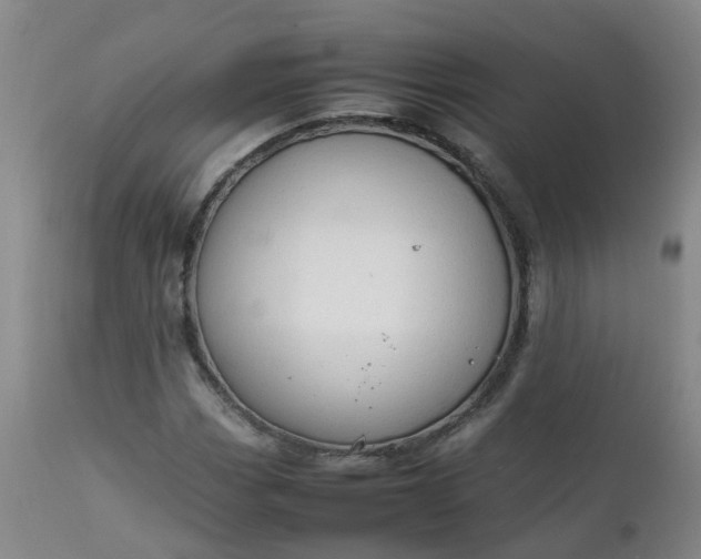 X0000111251113200907091417