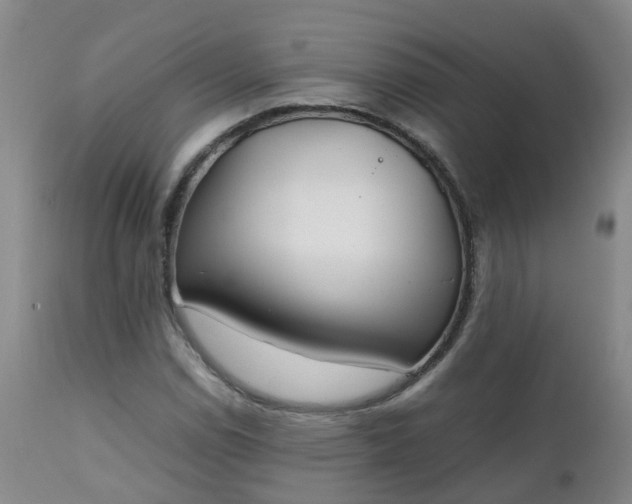 X0000111251114200907091417