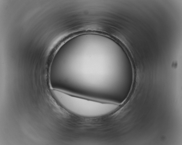 X0000111251115200907091417