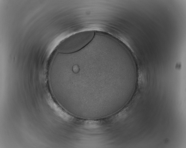 X0000111251116200907091417