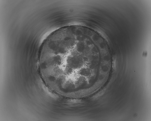 X0000111251117200907091417