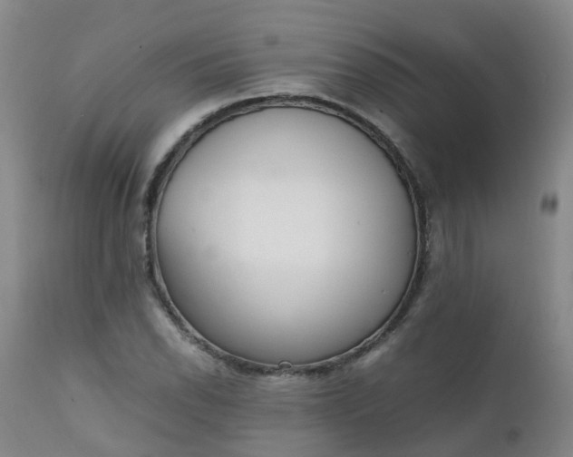 X0000111251118200907091417