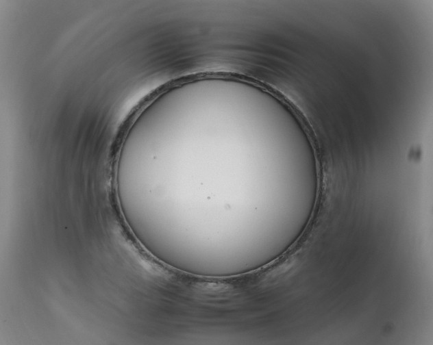 X0000111251119200907091417