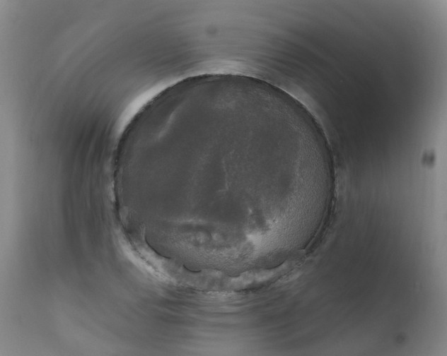 X0000111251120200907091417