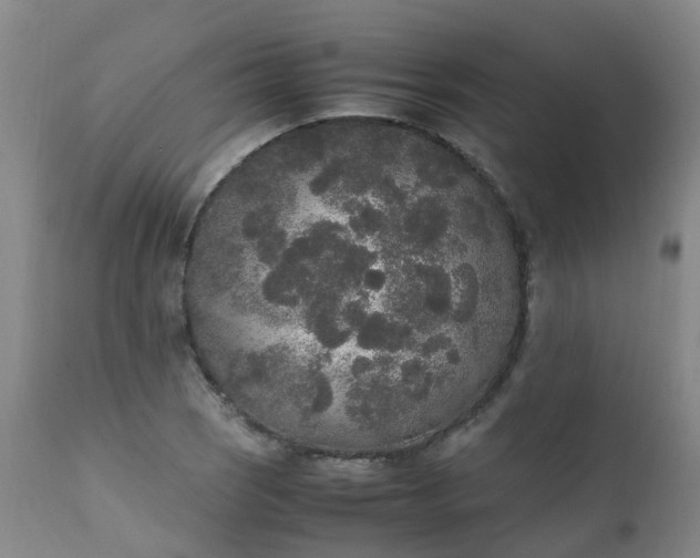 X0000111251121200907091417