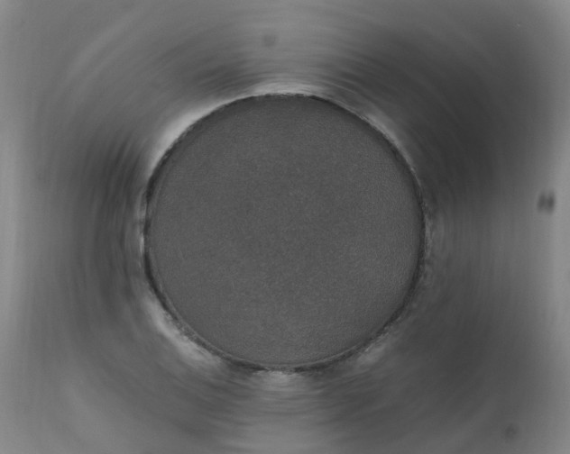 X0000111251124200907091417