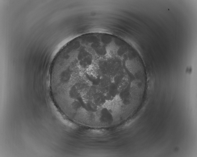 X0000111251125200907091417