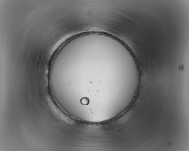 X0000111251126200907091417