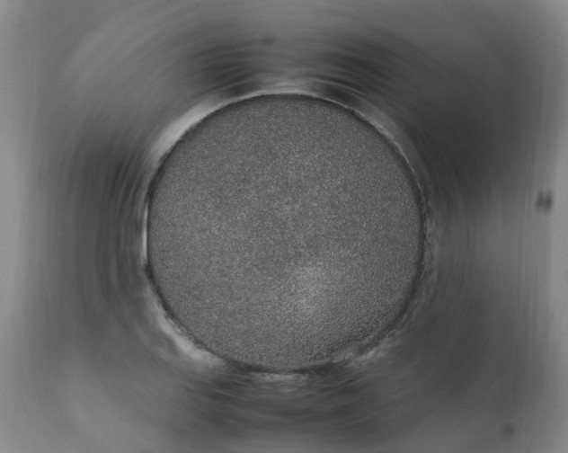 X0000111251127200907091417