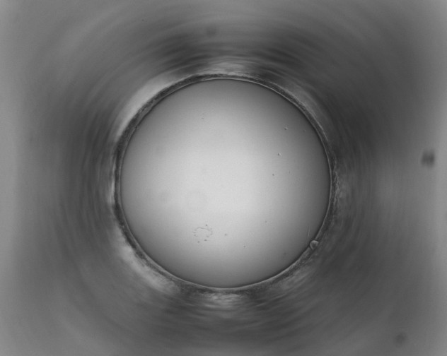 X0000111251131200907091417