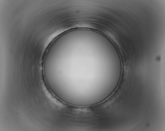 X0000111251133200907091417