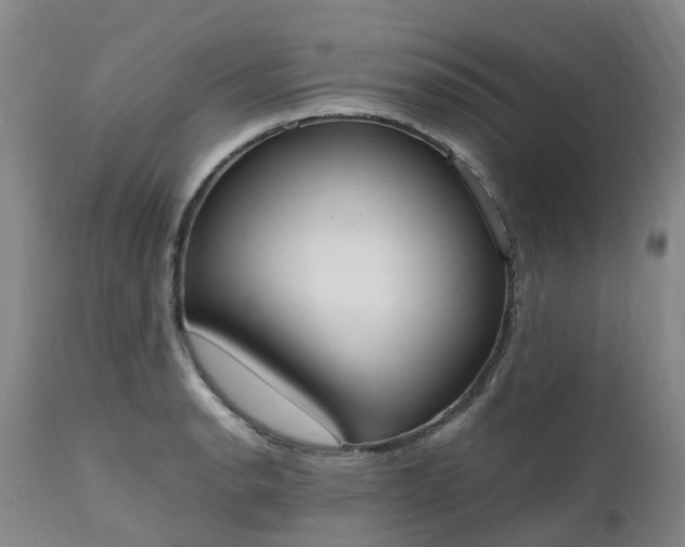 X0000111251134200907091417