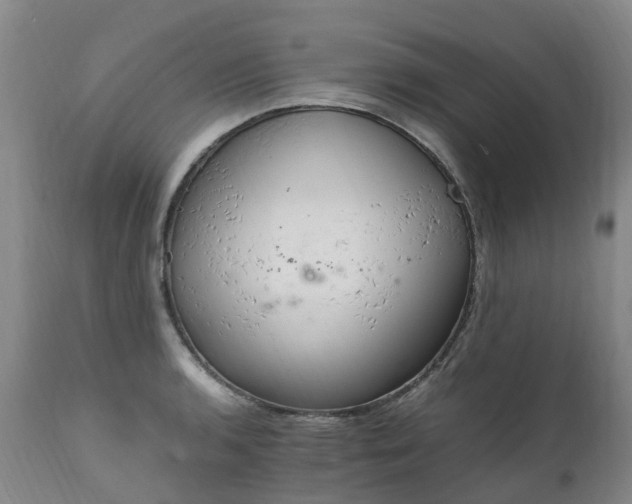 X0000111251136200907091417