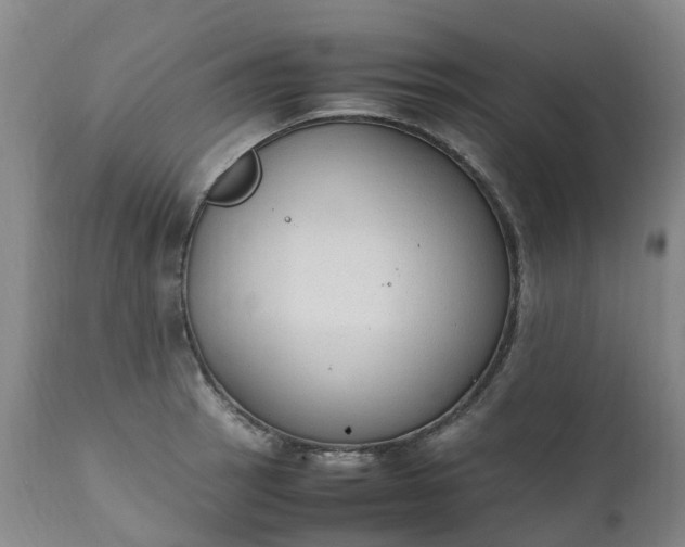 X0000111251137200907091417