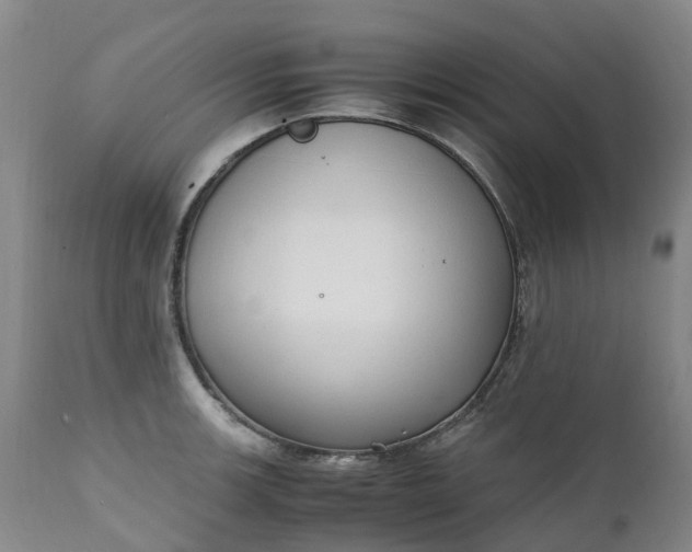 X0000111251139200907091417