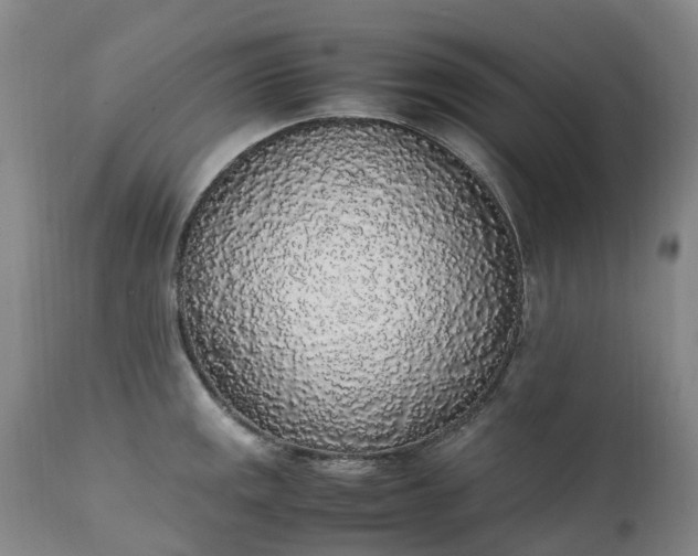 X0000111251141200907091417