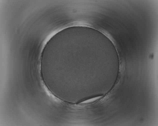 X0000111251144200907091417