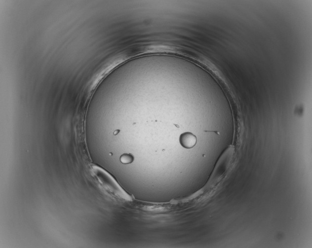 X0000111251145200907091417