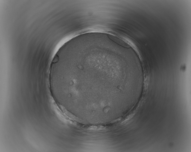 X0000111251146200907091417